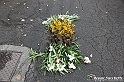 VBS_9519 - Infiorata di Villanova d'Asti 2023